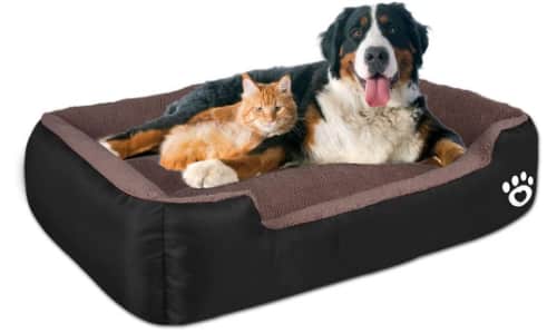 dog-bed