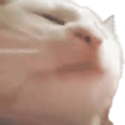 CatJAM Emote