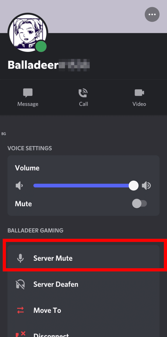 discord server mute